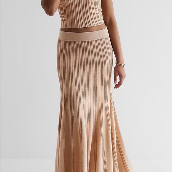 Express Ribbed Knit Crop Top and Skirt Set TOP XSMALL - SKIRT MEDIUM - Picture 4 of 4